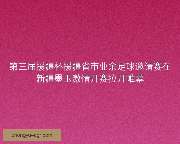 第三届援疆杯援疆省市业余足球邀请赛在新疆墨玉激情开赛拉开帷幕