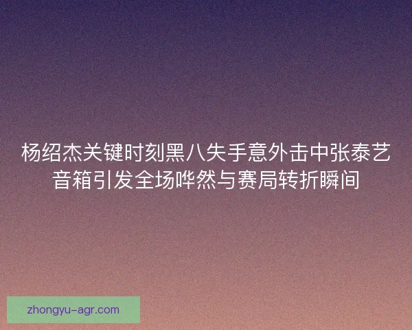杨绍杰关键时刻黑八失手意外击中张泰艺音箱引发全场哗然与赛局转折瞬间