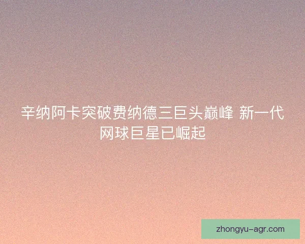 辛纳阿卡突破费纳德三巨头巅峰 新一代网球巨星已崛起