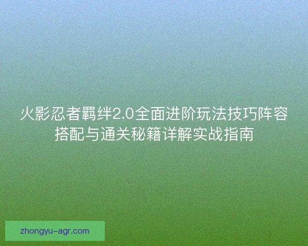 火影忍者羁绊2.0全面进阶玩法技巧阵容搭配与通关秘籍详解实战指南