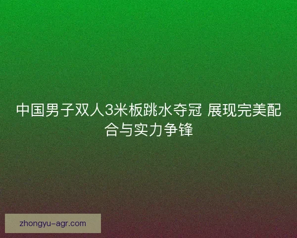 中国男子双人3米板跳水夺冠 展现完美配合与实力争锋