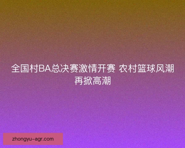 全国村BA总决赛激情开赛 农村篮球风潮再掀高潮